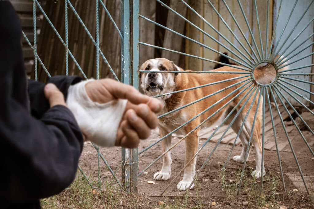 Postal workers encounter dogs every day while delivering mail and packages. Most encounters are harmless, but even a familiar dog can become aggressive. A dog may run through an open gate, escape from a yard, or attack when a mail carrier approaches a home. A dog bite can cause serious injuries. Some workers suffer deep wounds, infections, nerve damage, or broken bones. Others are left with permanent scars or emotional trauma. When the injured person is a postal worker, there may also be workers' compensation issues to consider.